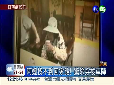 日照改變致失智 台北流浪到屏東!