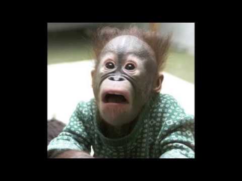 Short clips - 2  Soft Crunch Solo