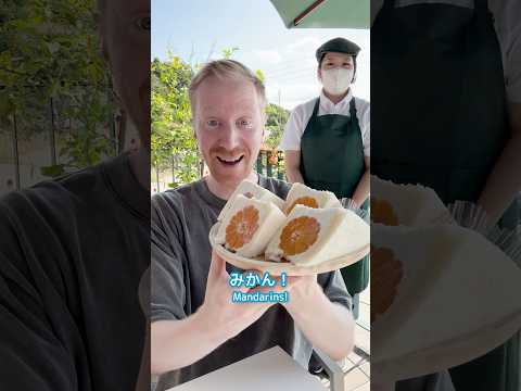 和歌山で秋の果物食べてみた！🍊Trying different fruits in Wakayama! #ミスターヤバタン #和歌山 #みかん #やばたん #ヤバタン