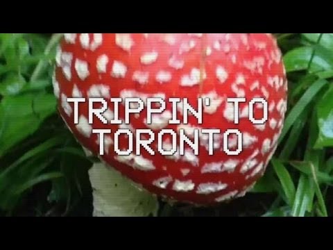 Trippin' to Toronto