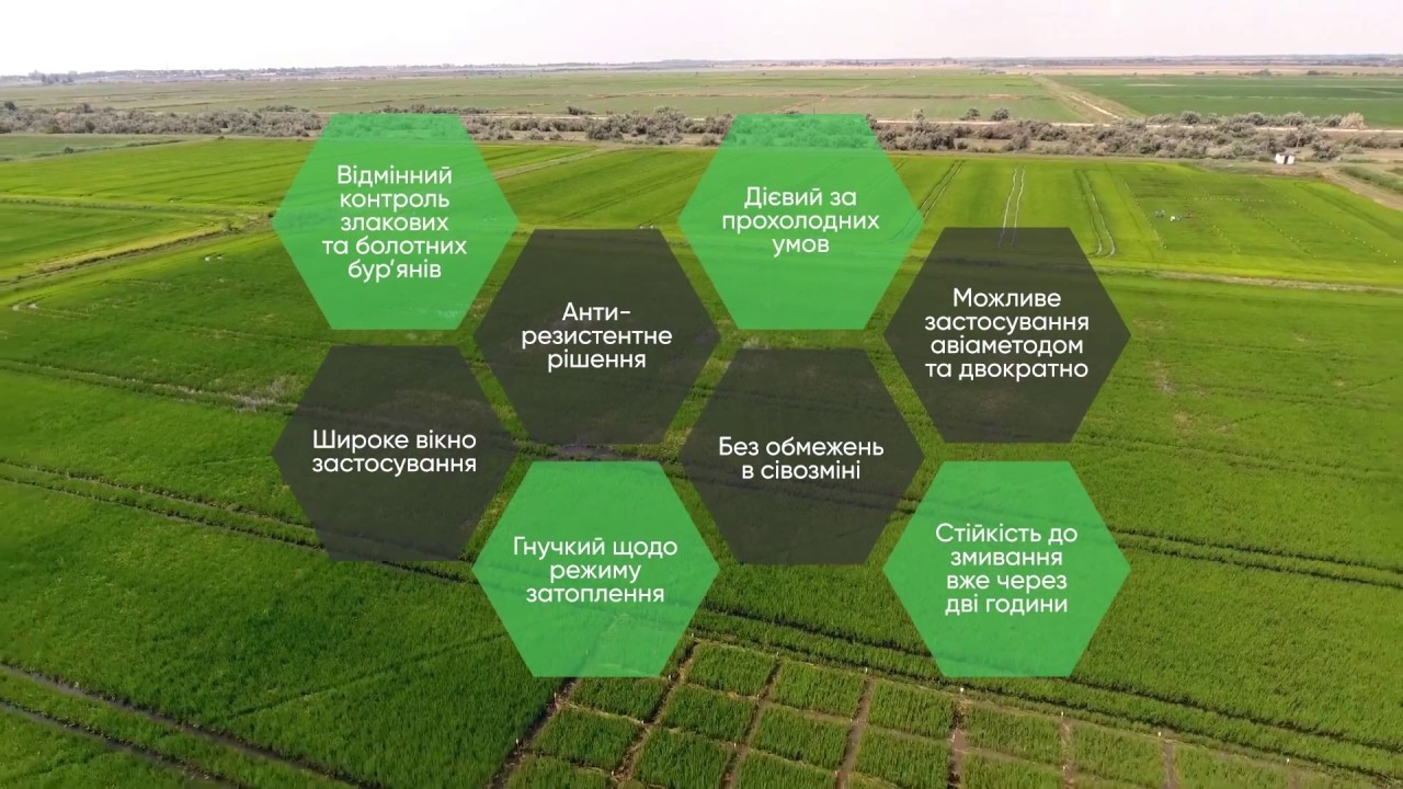 Гербіцид Баксіга