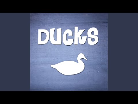 Ducks Quacking Sound Effect Ringtone
