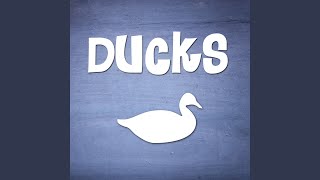 Download lagu Ducks Quacking Sound Effect Ringtone mp3