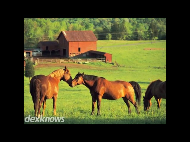 Agway of Mars - Mars, PA