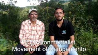 preview picture of video 'Testimonio del CAM sobre la tala ilegal y el mercado europeo de la madera'