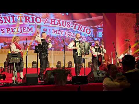 VRH PLANIN / FRÜHLING IN DEN BERGEN(Avsenik) - RETRO Muzikantje /RETRO Oberkrainer (Hišni /HausTrio)