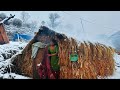 The Himalayan Village Life in Snowfall Time | The Winter and Relaxing  peaceful village Lifestyle