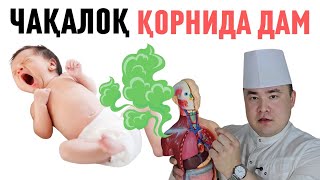 ЧАҚАЛОҚ ҚОРНИ ДАМ БЎЛСА НИМА ҚИЛИШ ВА АСЛО ҚИЛМАЛСИК КЕРАК БАФУРЖА, ИСЧАНОВД