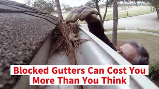 Sick of cleaning your gutters