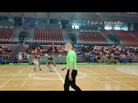 Sudijska ekspertiza KK Celik KK Vukovi