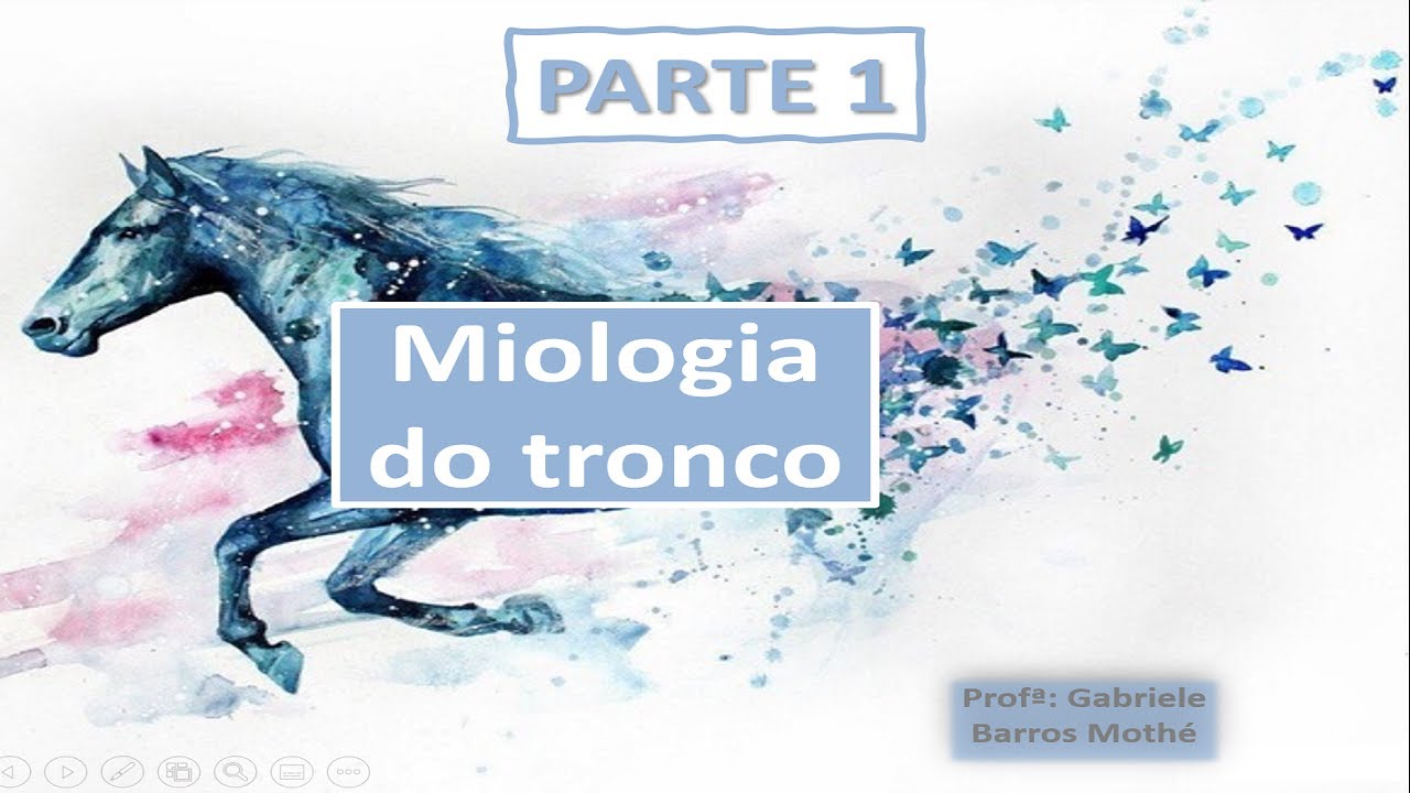 MIOLOGIA DO TRONCO - parte 1 (anatomia veterinária)