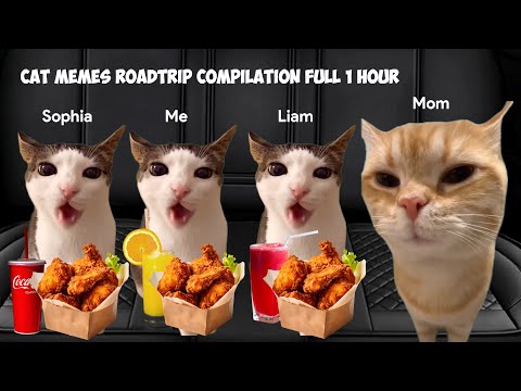 Cat MEMES Roadtrip Compilation Full 1 Hour