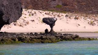 preview picture of video 'La Paz, Baja California Sur, Mexico.'