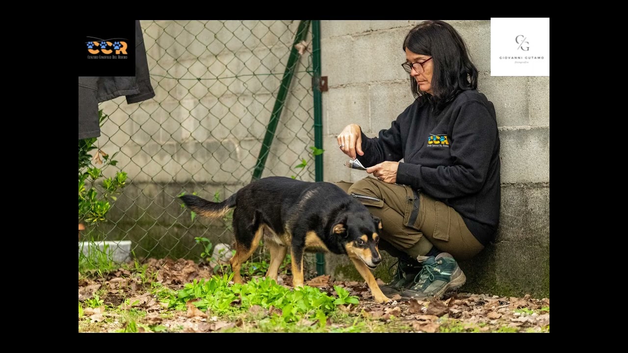 Impressioni Corso Educatore 2024 thumbnail