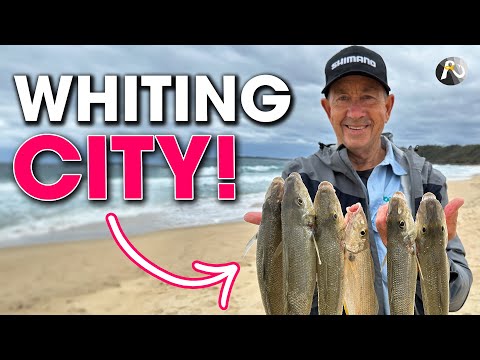 ULTRA-LIGHT Beach Fishing for WHITING! Epic Session ✅