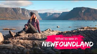 What to see in Newfoundland