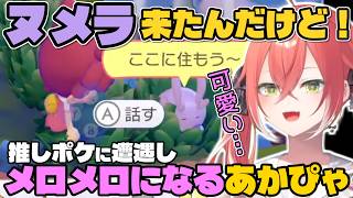 【ぽこあポケモン】推しポケモンに遭遇しメロメロになる獅子堂あかり【にじさんじ/切り抜き/獅子堂あかり】