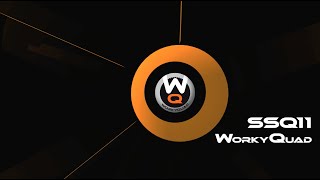 CAST SSQ11 Worky Quad gépek professzionális felhasználásra, 2 év garancia, készletről