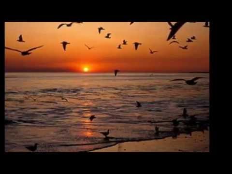 Riacho Sereno video