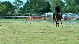 SG Hilal Shaklana Novice 28 Malvern 2012