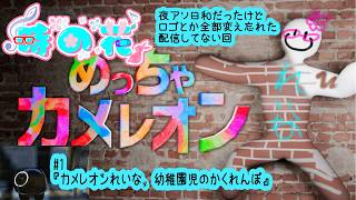 【めっちゃカメレオン】夜アソ日和だったけど全部変え忘れたカメレオン #1【かくれんぼ】