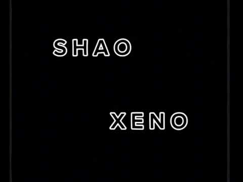 S H A O  -  X E N O  ტურებო