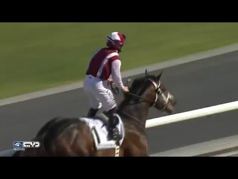 Godolphin Mile 2016 - One Man Band