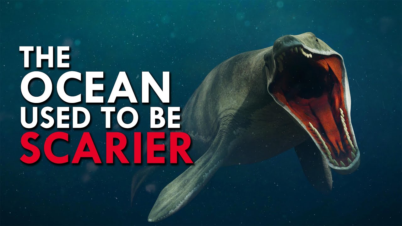 When Ocean Was Spelled FEAR