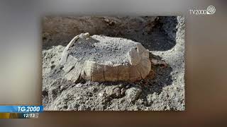 Scoperta eccezionale a Pompei, trovata tartaruga millenaria
