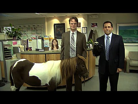 mati topur x mateusz produkuje - Raz dwa (The Office mashup)