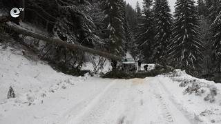 Трети ден без достъп до с. Мугла заради обилните снеговалежи