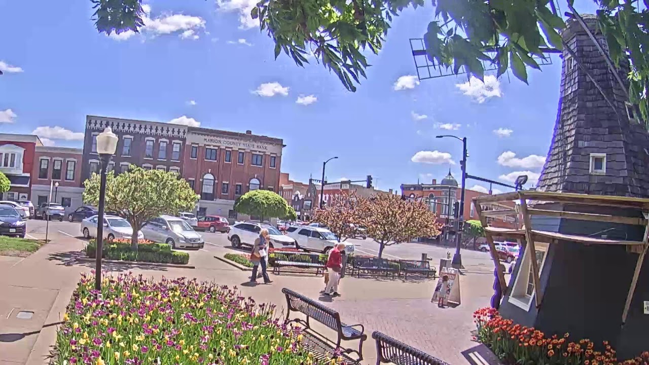 Pella Tulip Cam 2025!