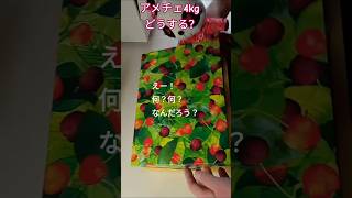 【アメリカンチェリー4kgどうする？】 #アメリカンチェリー #果実酒  #簡単レシピ #アメリカンチェリー酒