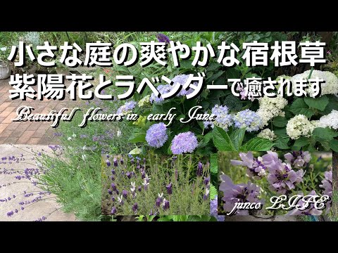 野菜の旧暦2022年6月：月のあるガーデニングがおしゃれ！  庭園