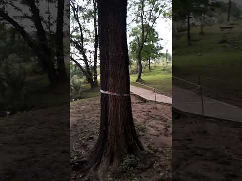 Parque Estancia La Quinta (Villa Carlos Paz,Cordoba):10/03/2026!