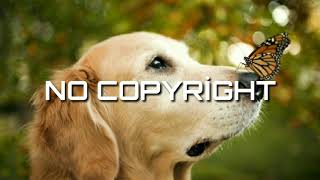Download lagu [No Copyright Music] Nowe - Burning mp3