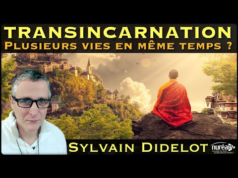 « Transincarnation : Plusieurs vies en même temps ? » avec Sylvain Didelot - NURÉA TV