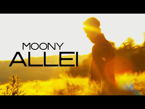 MOONY - ALLEI (PROD. BY LUDWIG O.S.)