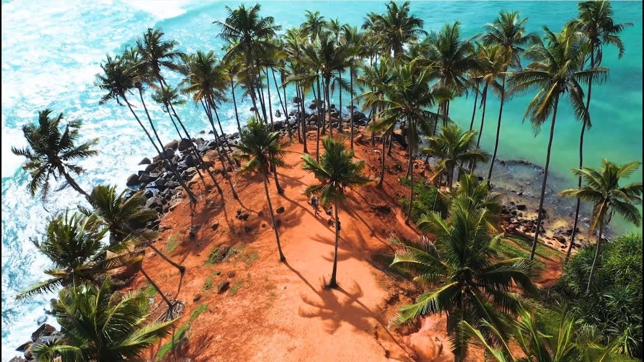 Experience the bird-eye vistas of Coconut Tree Hill.