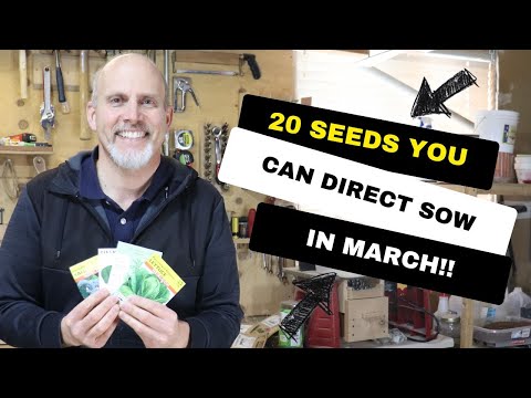 20 Seeds you can Direct Sow in Your Garden In March