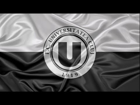 IMN UNIVERSITATEA CLUJ