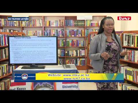 Bit 4108 Information Systems Audit