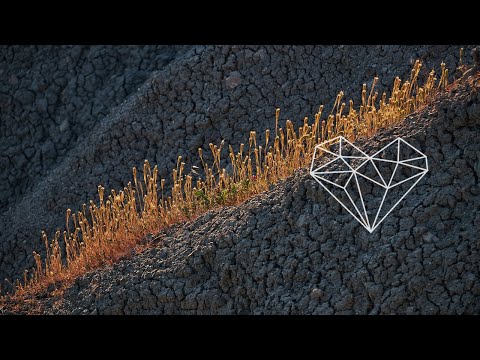 Bona Fide, Wassu - Sila (Original Mix) [Organic House / Seven Villas]