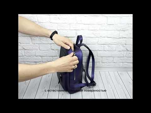 Миниатюра изображения товара Рюкзак Carlo Gattini Premium Anzolla 3040-58 (синий/фиолетовый)