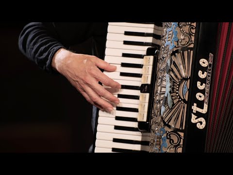 FISARMONICA | VALZER MIX (1) Stefano Linari @Musicainballo