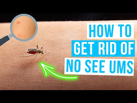 How to GET RID OF NO SEE UMS in house and yard