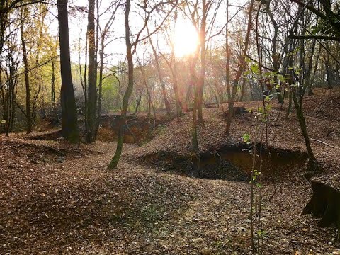 Baffidigatto - Passeggiata lungo il rio Clarolo di Cossato
