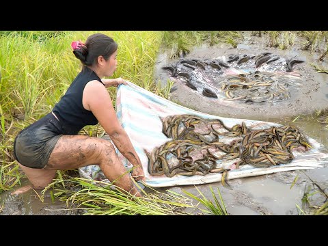 Full video 30 days of using recycled materials to trap fish, catch big fish with bamboo raft net.