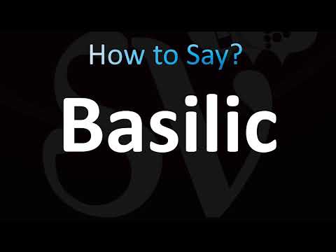 How to Pronounce Basilic (Correctly!)