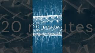 Download lagu The Double-Quick Life Cycle of E. Coli #shorts #education #bacteria #medical mp3